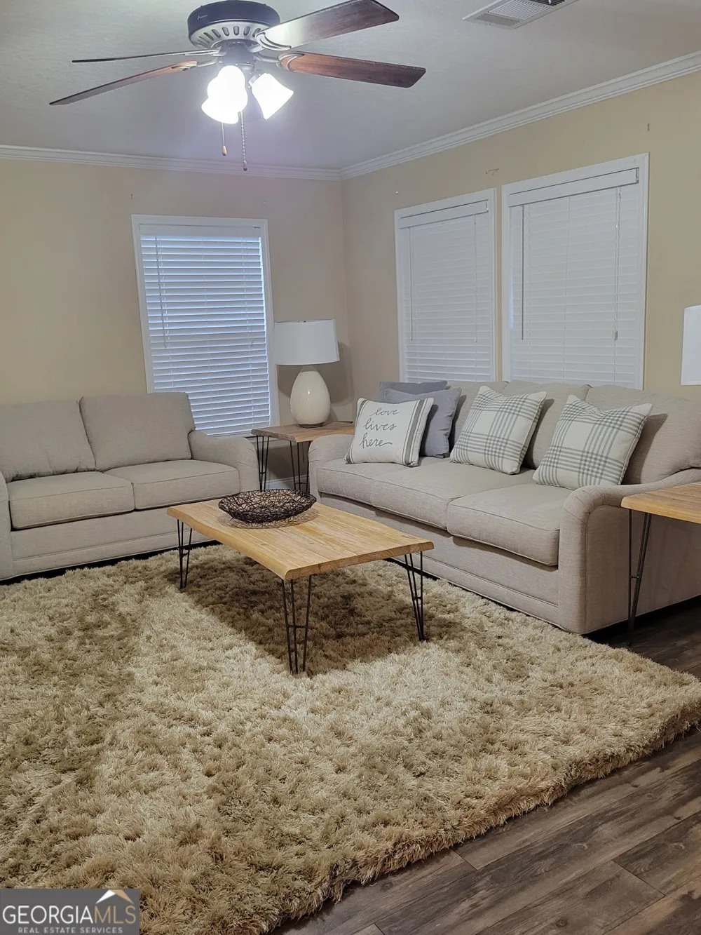 14 Redwood CIR Newnan, GA 30263