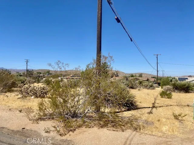 Ivanhoe Yucca Valley, CA 92284