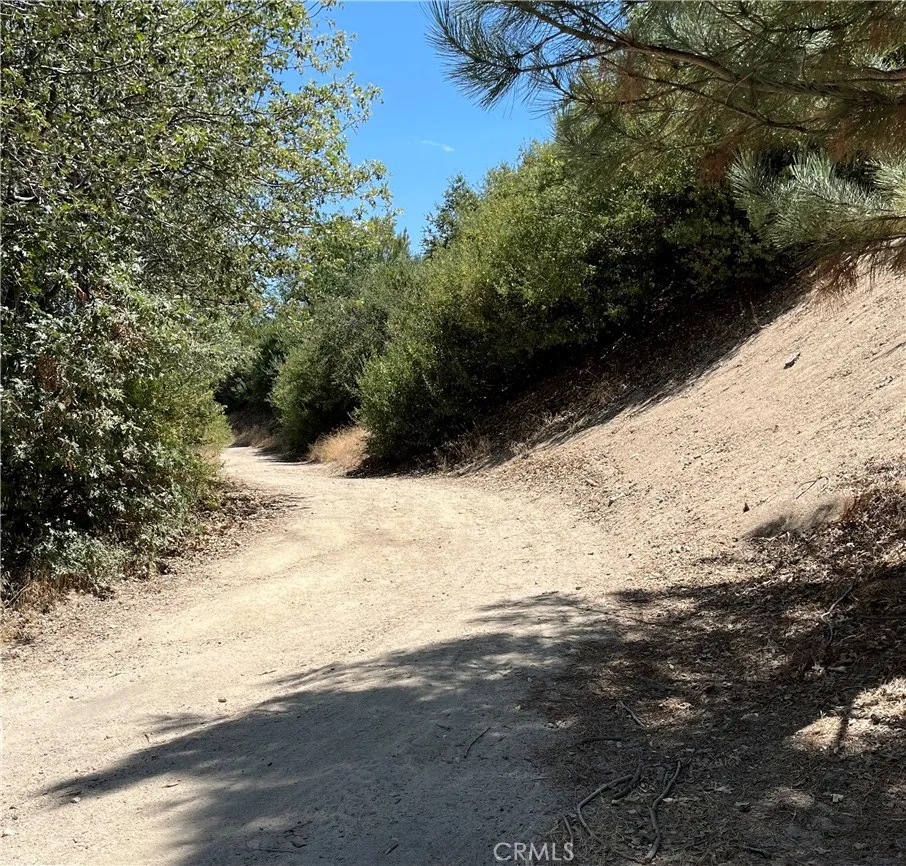 Hill Drive Cedar Glen, CA 92321