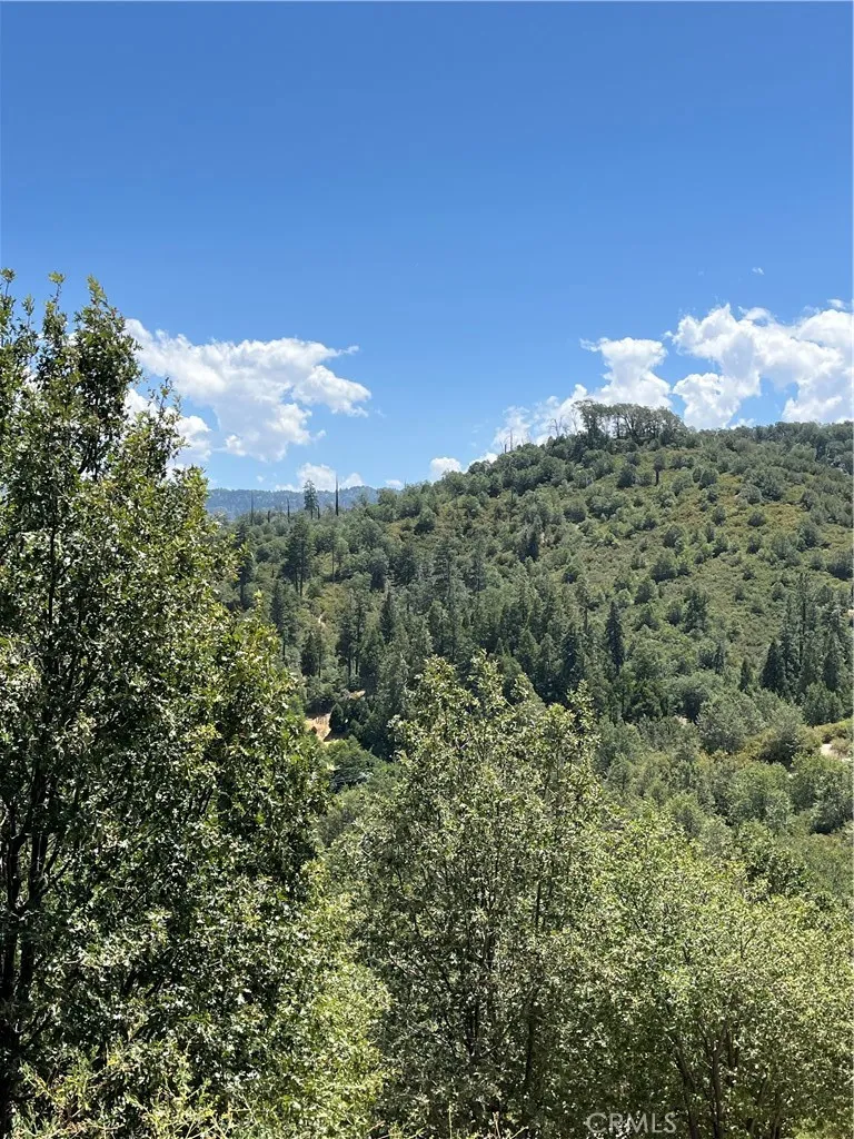 Hill Drive Cedar Glen, CA 92321