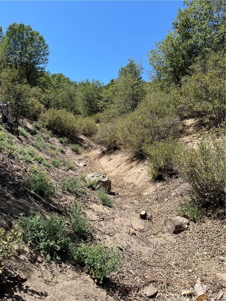 Hill Drive Cedar Glen, CA 92321