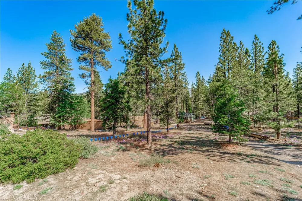 872 Hill Big Bear Lake, CA 92315