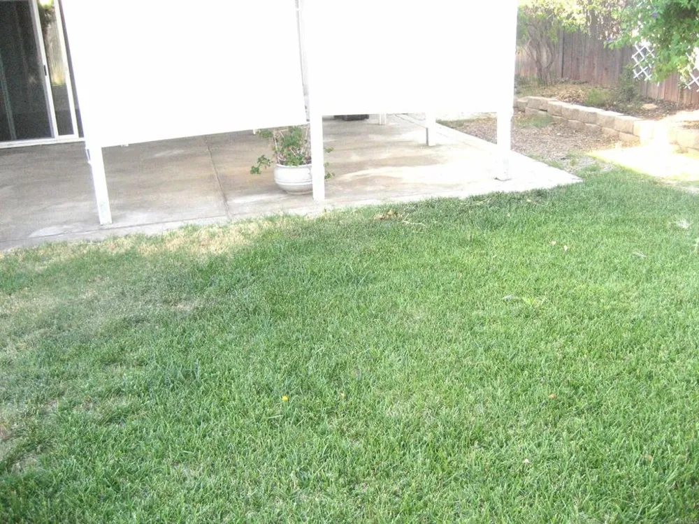 1259 SIGGSON AVE Escondido, CA 92027
