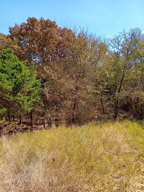 123 W Woodland Court