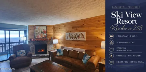 1102 Ski View Drive #208