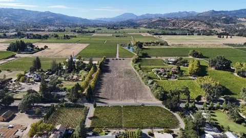 Zinfandel Lane