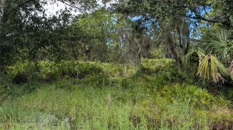 3241 DOUGLAS ROAD