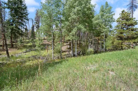 000 Lot 3 Indian Springs Road