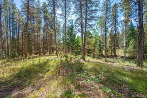 001 Lot 12 Indian Springs Rd