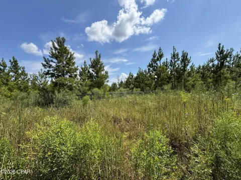 SE Davis Peacock Road #Lot 51