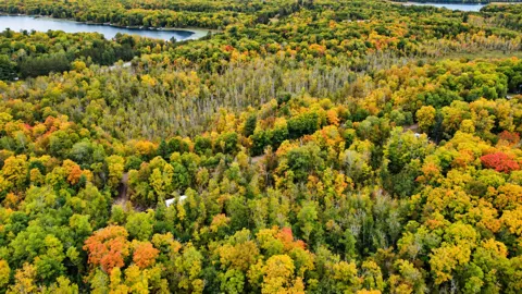 Lot 12 Beaver Drive