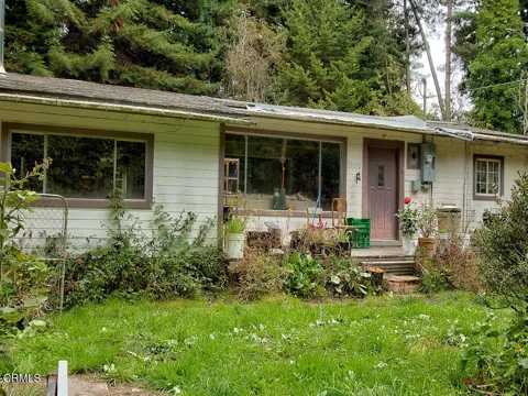 19151 Pine Tree Lane
