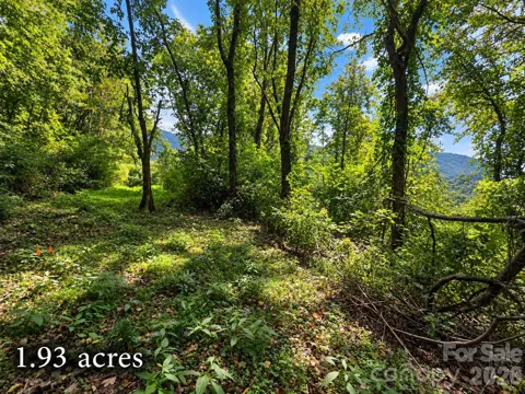 81 Dove Crest Lane #18 & 33