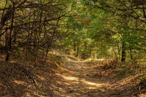 4 Tipps Lane