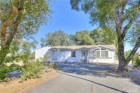 263 Mission Olive