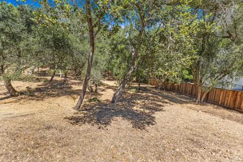 796 Los Olivos Road