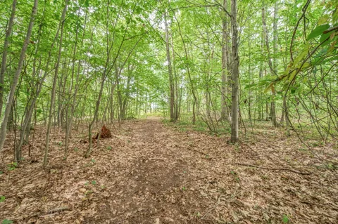 05 8 Mile Rd
