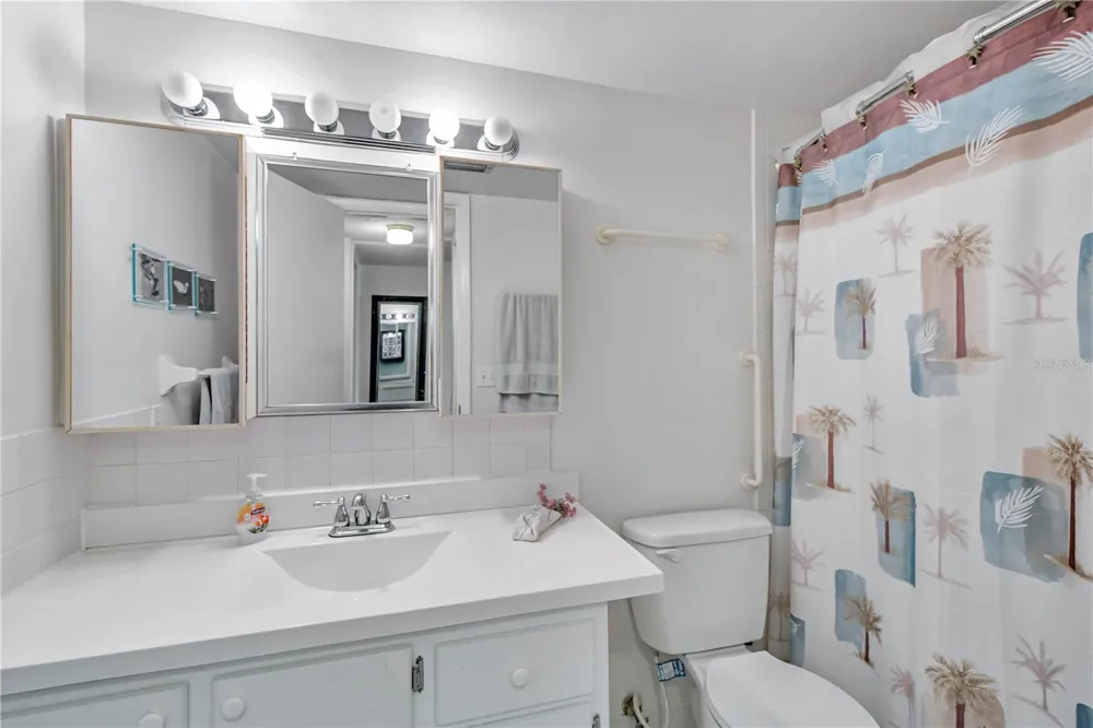 2400 WINDING CREEK BOULEVARD #24-203 Clearwater, FL 33761
