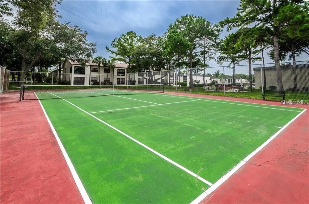 2400 WINDING CREEK BOULEVARD #24-203 Clearwater, FL 33761