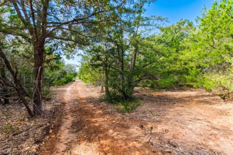 12 Mt Pleasant Road