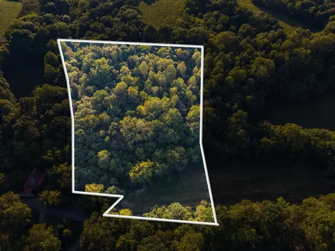 4 Shelter Branch