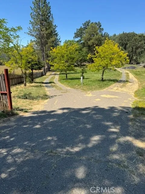12955 Bottle Rock