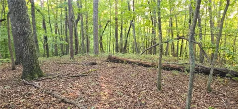 0 Seye Wailo Trail