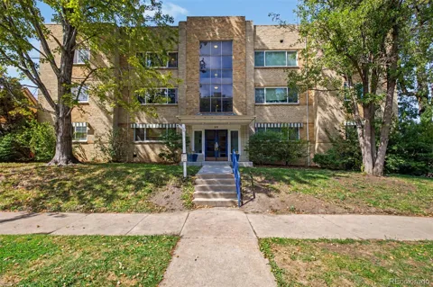 85 Ogden Street #31