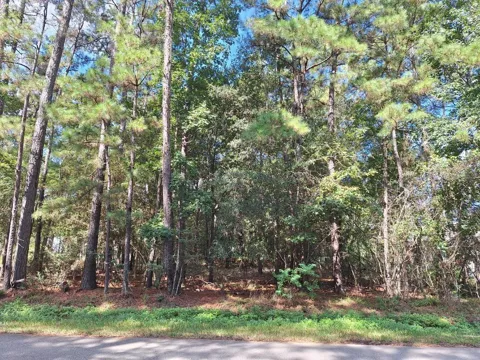 1023 Weisinger Drive