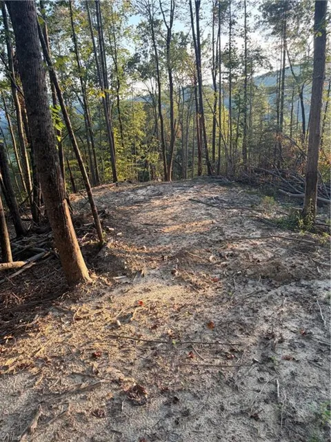 TBD Lot 2 Old Nc highway 16