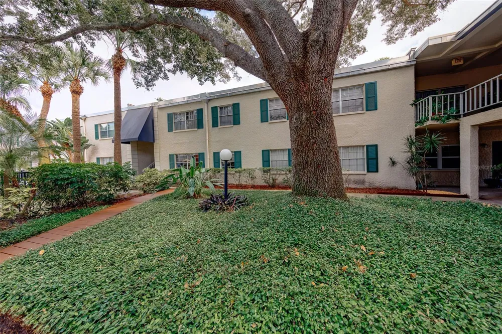 4325 AEGEAN DRIVE #130B Tampa, FL 33611