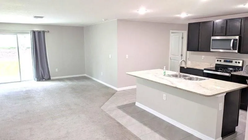 13667 WHISKEY DAISY DRIVE Dade City, FL 33525