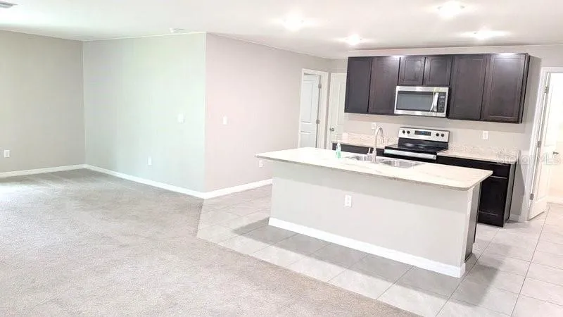 13667 WHISKEY DAISY DRIVE Dade City, FL 33525