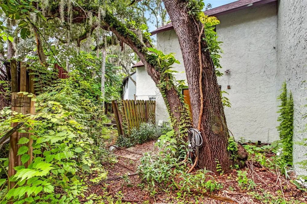 5627 ASHLEY OAKS DRIVE #2 Tampa, FL 33617