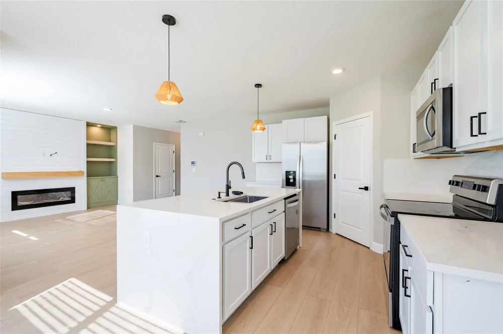 2935 COMMON FIG RUN Wesley Chapel, FL 33543