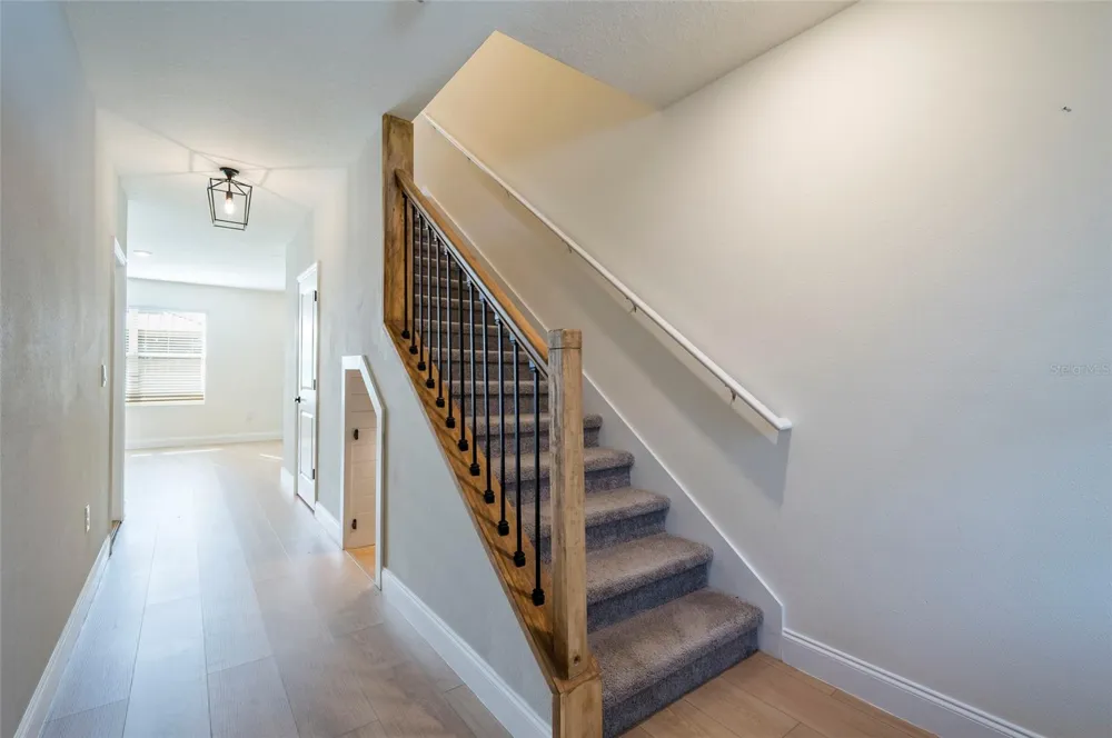 2935 COMMON FIG RUN Wesley Chapel, FL 33543