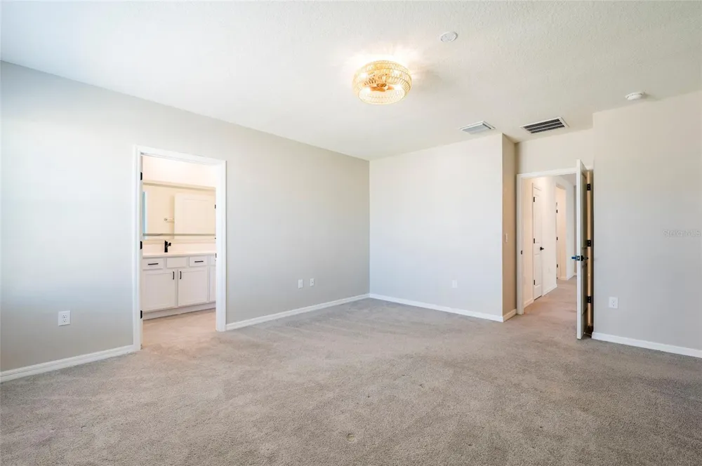 2935 COMMON FIG RUN Wesley Chapel, FL 33543