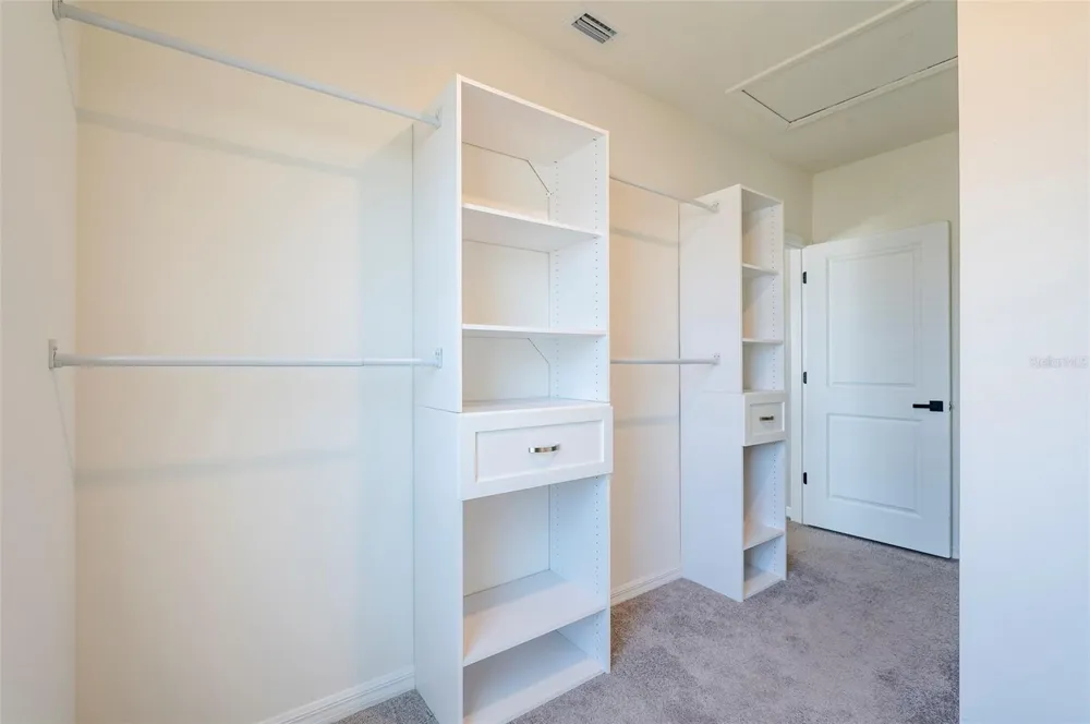 2935 COMMON FIG RUN Wesley Chapel, FL 33543