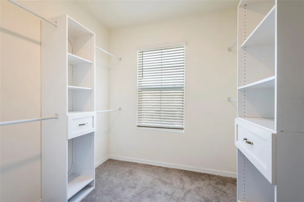 2935 COMMON FIG RUN Wesley Chapel, FL 33543