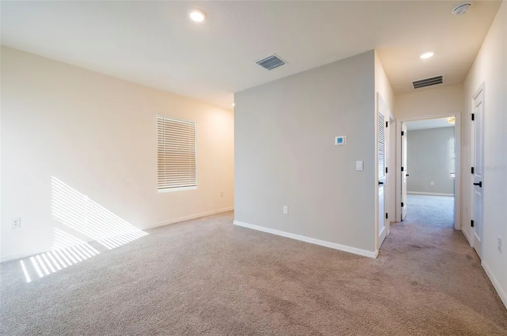 2935 COMMON FIG RUN Wesley Chapel, FL 33543