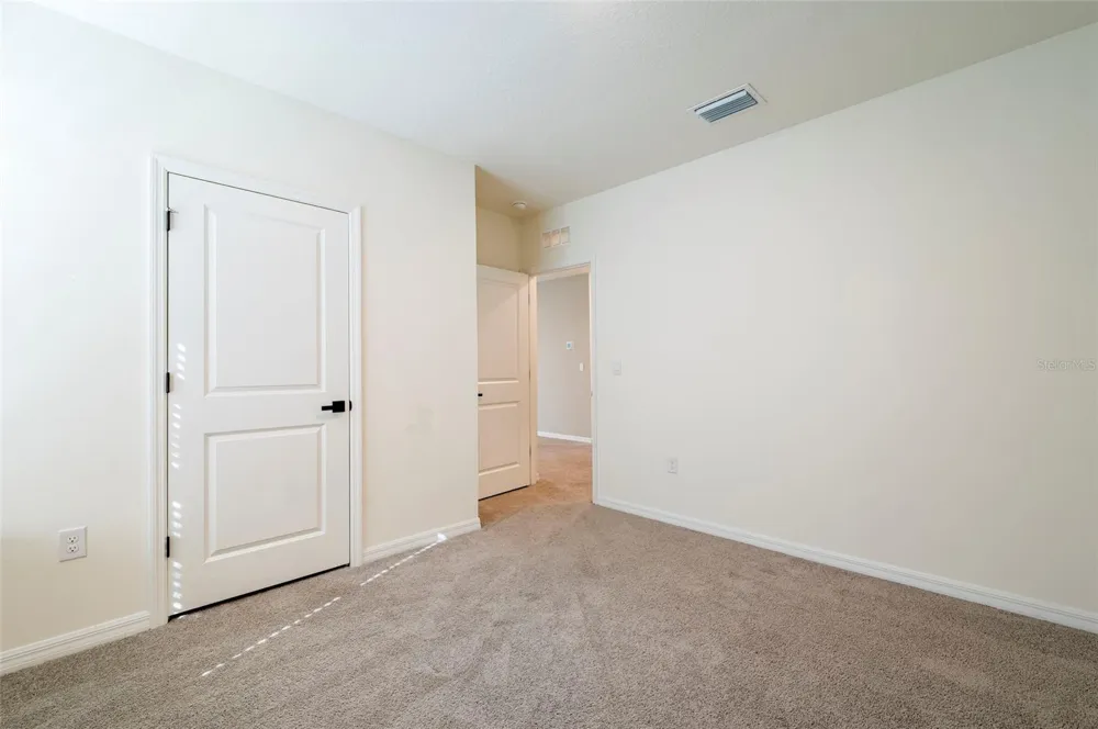 2935 COMMON FIG RUN Wesley Chapel, FL 33543