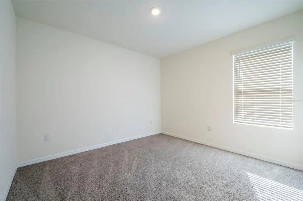 2935 COMMON FIG RUN Wesley Chapel, FL 33543