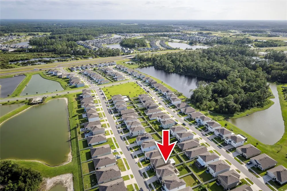 2935 COMMON FIG RUN Wesley Chapel, FL 33543