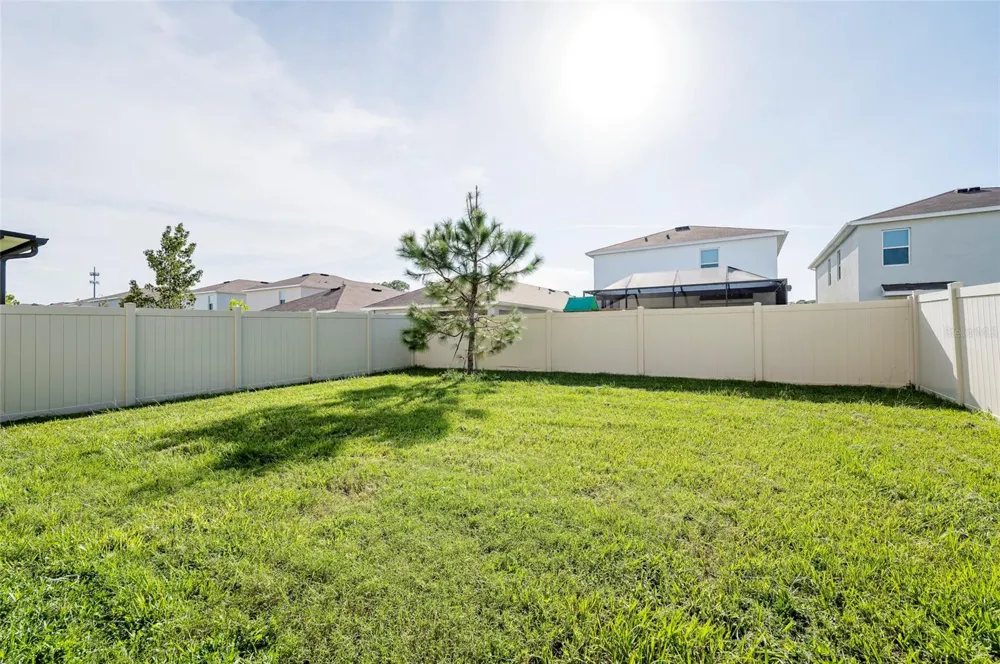 2935 COMMON FIG RUN Wesley Chapel, FL 33543