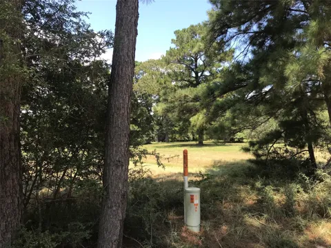 12 Cedar Springs