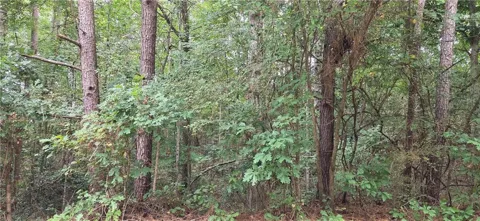 2678 Sleepy Hollow Road