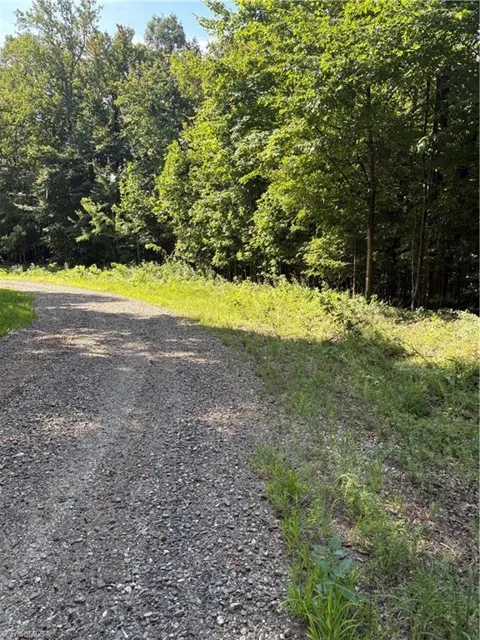 Lot 4 Falcon Ridge Drive