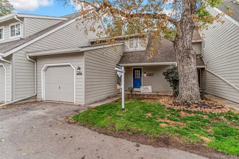 10568 E Park Mountain