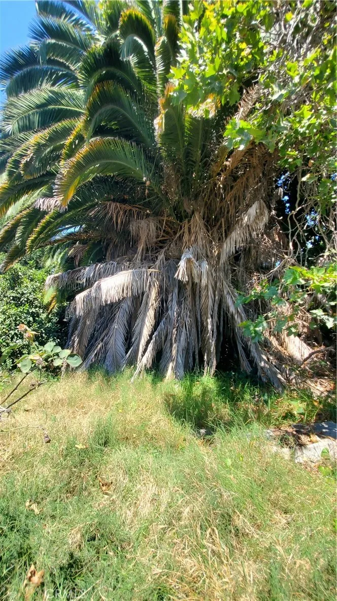 7347 De Soto Los Angeles, CA 91303