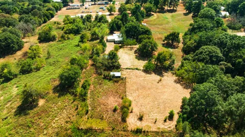 148 County Road 35950